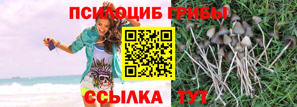 продажа наркотиков  Галлюциногенные грибы мицелий  Галлюциногенные грибы ЛСД  Вход с VPN  Алейск 